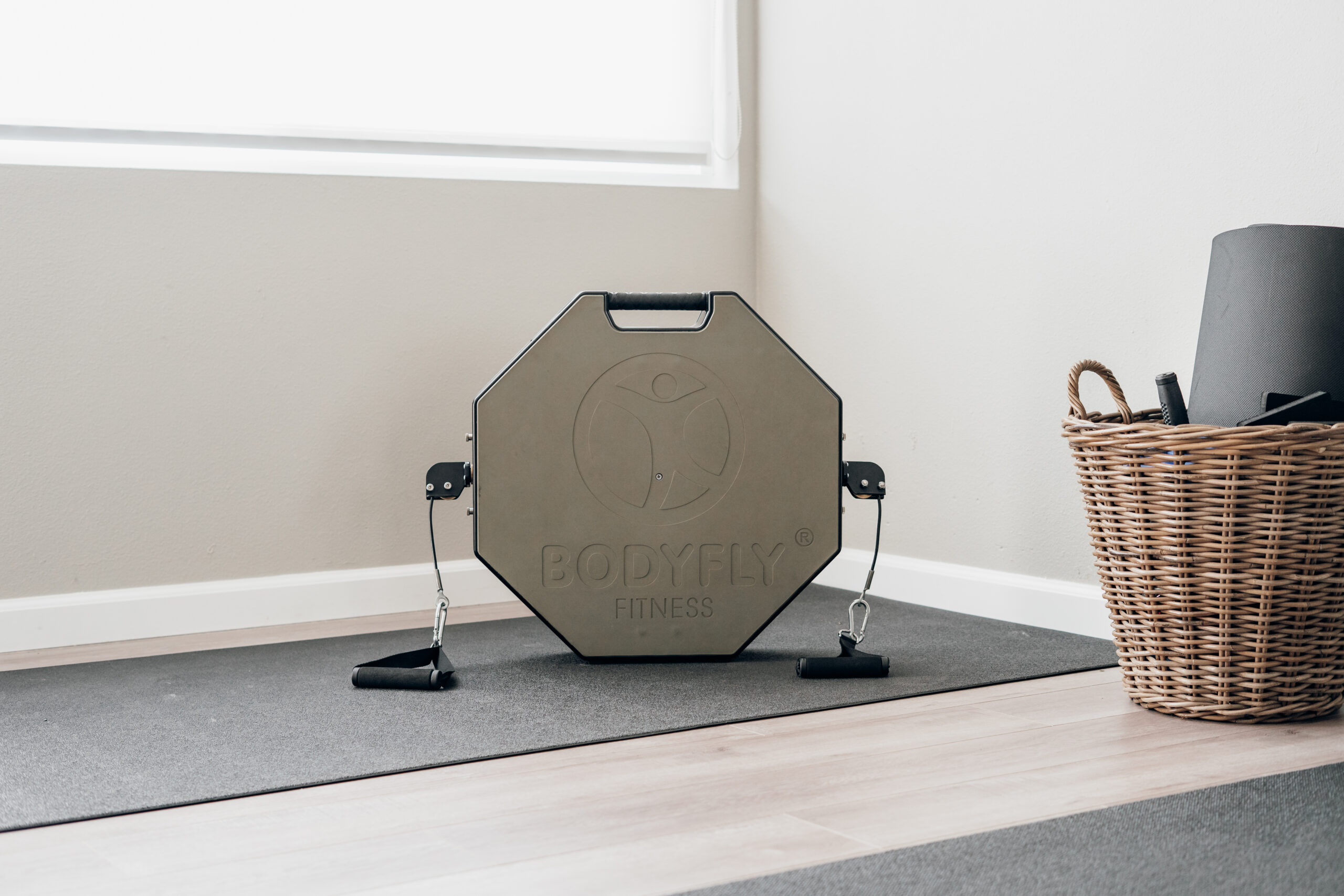 BodyFly Program